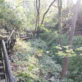 散歩友達🍀募集 - 友達