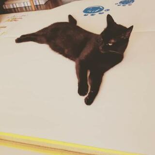 探しています‼️