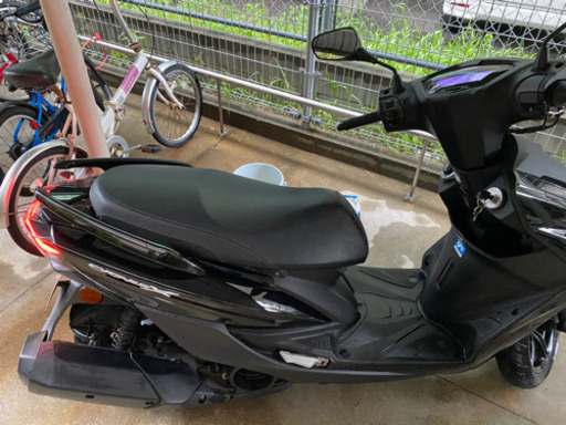 ヤマハシグナスX 5型　125cc 美車 ［現行］