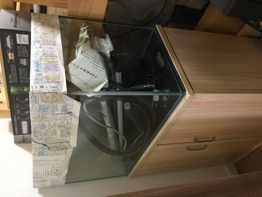 熱帯魚水槽セット