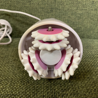 アセチノセルビー 美容ローラーの画像