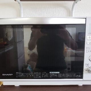 一年の画像