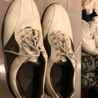 【FJ/フットジョイ】ゴルフシューズ25cmの画像