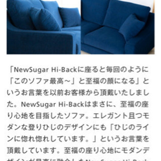【取引中】ノイエス　ニューシュガーハイバック　ソファの画像