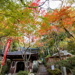 4/25(土)10時〜三滝山に登山します^_^