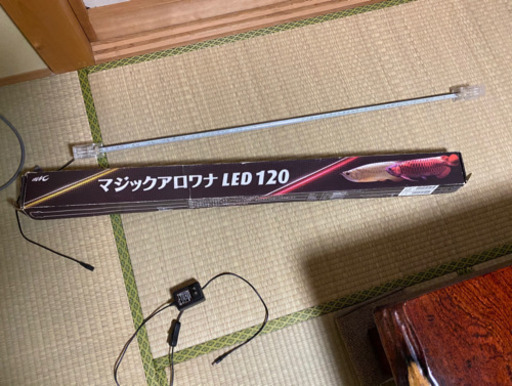 アロワナライト　120 センチ用　訳あり