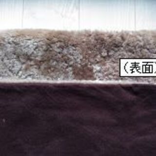 カーペットの画像