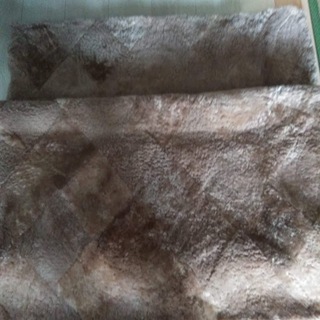 カーペットの画像