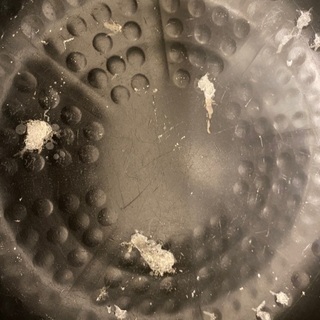 #炊飯器 #日立圧力IH #Rice cooker #Hitachi pressure IHの画像