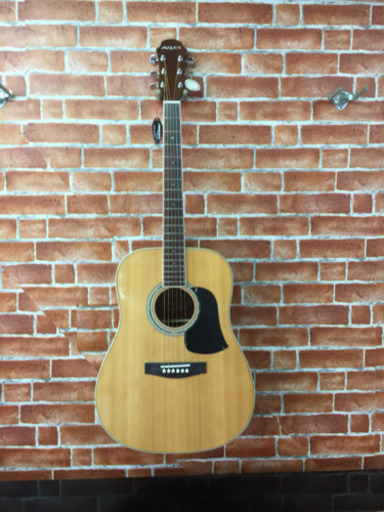 ありがとうございます♪【売れました！】アリアウェスタンギター AW-20N  新品在庫