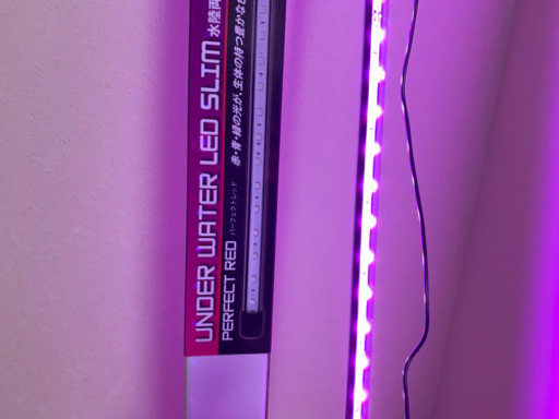 アンダーウォーターLEDパーフェクトレッド150 