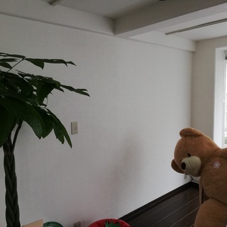 練習台として壁画アートしませんか？
