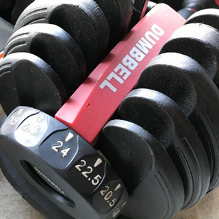 DUMBBELL ダンベル 24kg✖️2個 美品！！