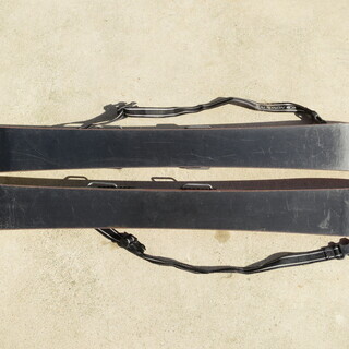 SALMON サロモン ファンスキーの画像