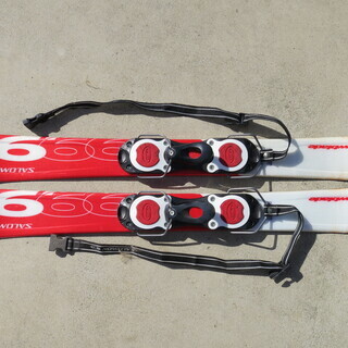 SALMON サロモン ファンスキー