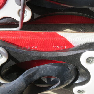 SALMON サロモン ファンスキーの画像