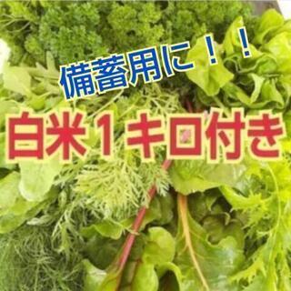 お野菜入れ替え時期の為、しばらくお休みします🙇🏻‍♀️薬お野菜セ...