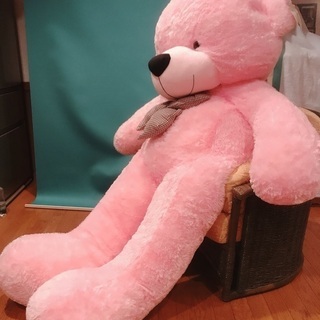 ぬいぐるみ🧸　　