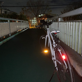 KhodaaBloom  2019  RAIL700  の画像