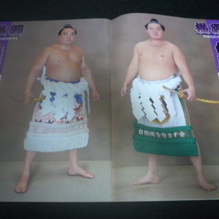 相撲　パンフレット　２０１３年１月場所　力士の直筆サイン複数入りの画像
