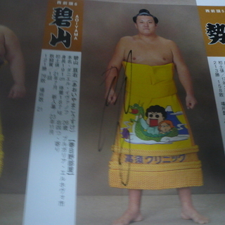 相撲　パンフレット　２０１３年１月場所　力士の直筆サイン複数入りの画像
