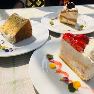 💖 女子限定グルチャ 💖