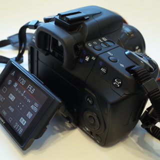 SONYデジタル一眼α350レンズ付きの画像