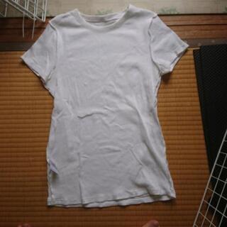 ユニクロ 白Tシャツ 2枚   あげます