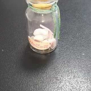 小さな貝の小物の画像