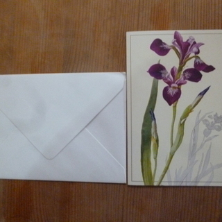未使用品　多目的カード　アイリス　封筒付き