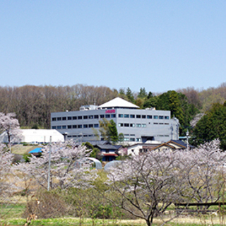 【急募】未経験者歓迎！印刷補助のお仕事です♪の画像