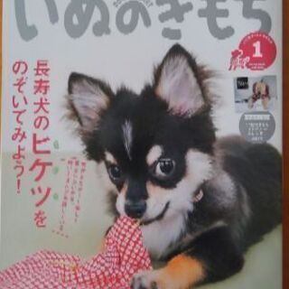 犬のきもち🐶無料😂