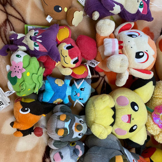 ポケモンぬいぐるみバラ売りの画像