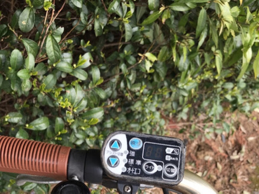 V01N電動自転車R85W?ブリジストンHYDEE J00SB?