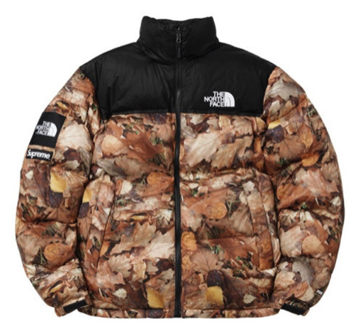 supreme×thenorthface
