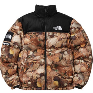supreme×thenorthface