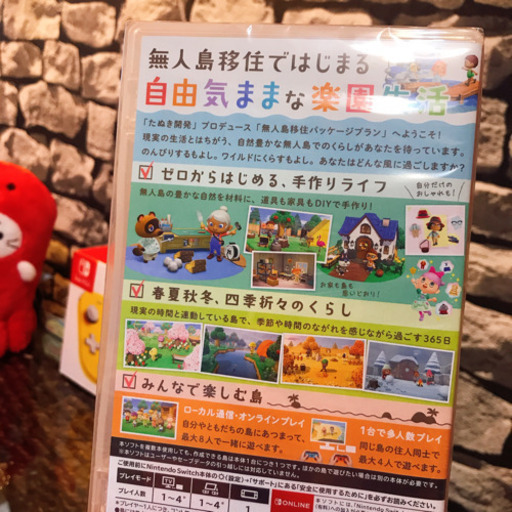 フィルム貼り付け済 Switchライト どうぶつの森セット