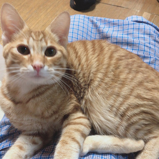 決まりました⑅◡̈*.
