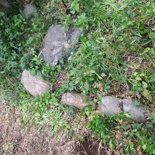 庭石 ガーデニング 無料 0円 全て 大量 あげます ブロック レンガの画像