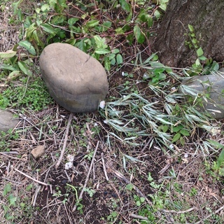 庭石 ガーデニング 無料 0円 全て 大量 あげます ブロック レンガの画像