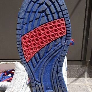 チャンピオンのスニーカー サイズ25.0㎝の画像