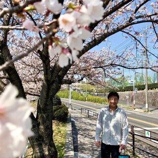 豊明市内の片付け整理、遺品整理、ゴミ屋敷清掃、空家の管理、緊急な配送のことなら 「ハコビット」にお任せ下さい - 便利屋