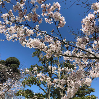 愛媛県人限定グルチャのメンバー募集です😁