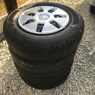 引き取り先が決まりました。