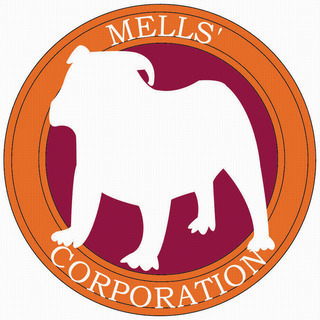 自由な時間に稼げます！　★事業拡大につき点検スタッフ急募！！