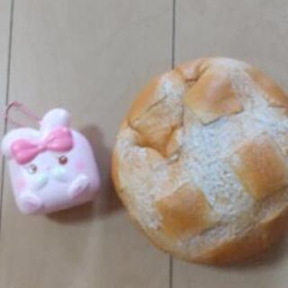 スクイーズの画像