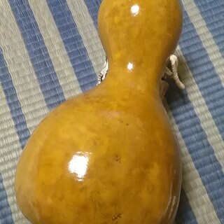 フラダンス　イプ　楽器＋ケース＋備品付き