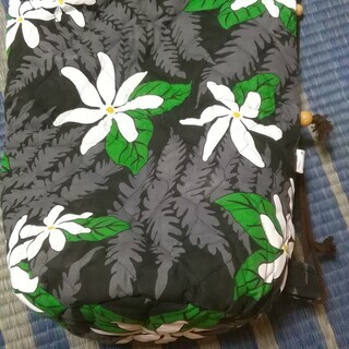 フラダンス　イプ　楽器＋ケース＋備品付きの画像