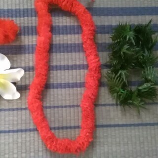 フラダンス　イプ　楽器＋ケース＋備品付きの画像