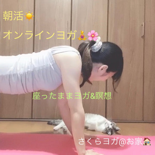 【毎日無料開催】座ったままできるオンラインヨガを一緒にしませんか...